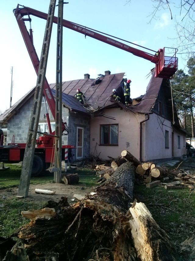 Drzewo zniszczyło budynek mieszkalny w Bliznem