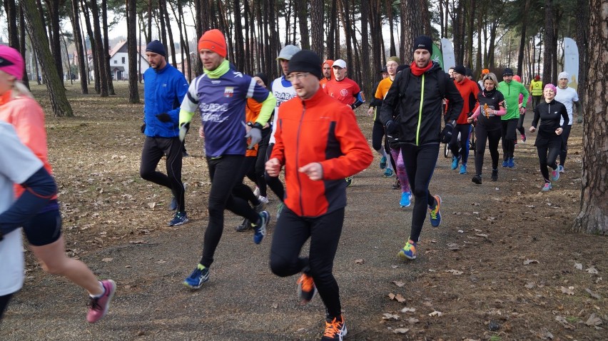 114. bieg parkrun Bydgoszcz. Emocji na trasie nie brakowało [zdjęcia, wideo, wyniki]