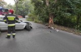 Szczecin: Samochód uderzył w drzewo. Kierowca uciekł. Szuka go policja