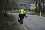 Obwodnica Panewnik wkrótce zostanie otwarta! Dziki na drogę nie wejdą...