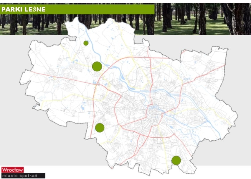 Do 2018 roku we Wrocławiu zostanie zasadzonych 300 tys. drzew [plany, wizualizacje]