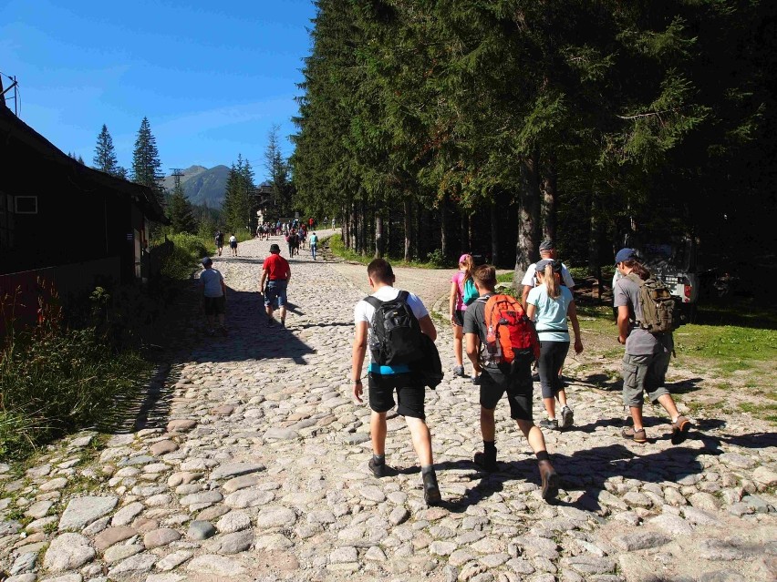 Tatry. Tysiące turystów na górskich szlakach [ZDJĘCIA]