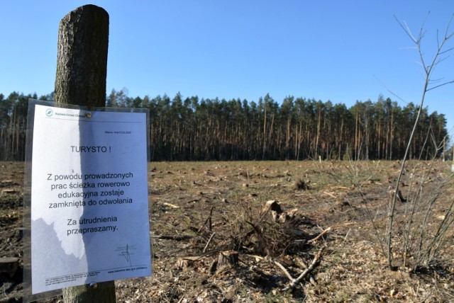 Obwodnica Olesna ma być gotowa na koniec 2022 roku. Prace przygotowawcze już trwają.