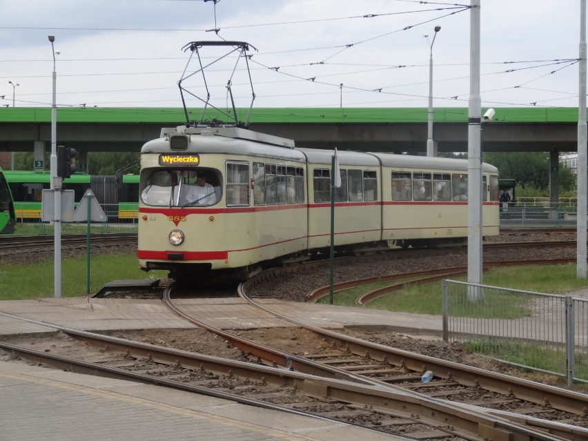 Tramwaj Zwany Pożądaniem jeździ po Poznaniu i głosi, jak...