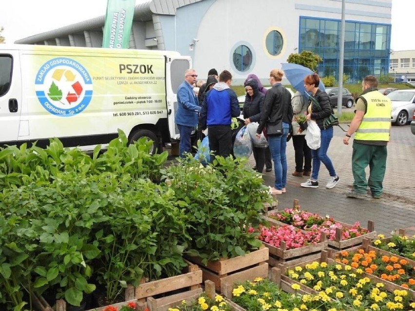 Trwa kolejna odsłona akcji "Ekologia za sadzonkę"  [zdjęcia]