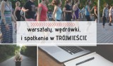 Warsztaty, wędrówki i spotkania w Trójmieście - aktywności dla tych, którzy nie lubią tłumów i chcą się czegoś nauczyć 