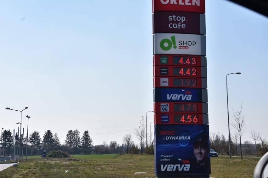 Ceny paliwa idą w dół. Ile dziś kosztuje na wągrowieckich stacjach? [ZDJĘCIA] 
