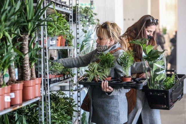 Festiwal Roślin w Gdańsku, 6-7.03.2021