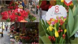 Kwiaty na Dzień Kobiet na tarnowskim Burku i w kwiaciarniach. Róże, tulipany, goździki i bukiety. Jest w czym wybierać. Ile kosztują?
