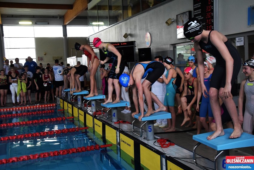  VIII Międzynarodowy Miting Pływacki w Oleśnicy (ZDJĘCIA)  