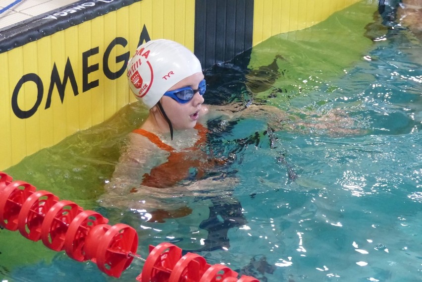 Rekordowa frekwencja na zawodach pływackich o Puchar Dyrektora MOSiR w Kielcach. Startują zawodnicy z Polski i Białorusi [DUŻO ZDJĘĆ, WIDEO]