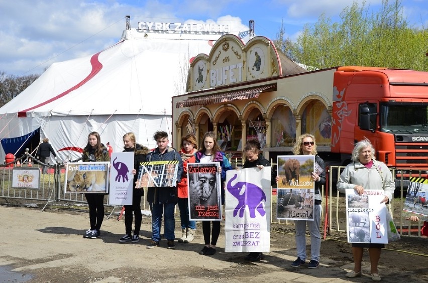 Protest w Szczecinie przeciwko wykorzystywaniu zwierząt w cyrkach [foto, wideo]