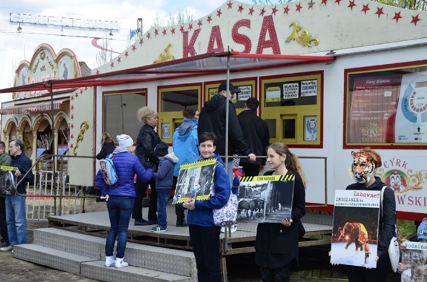 Protest w Szczecinie przeciwko wykorzystywaniu zwierząt w cyrkach [foto, wideo]