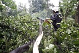 Olkusz: Trąba powietrzna niszczyła domy, zrywała dachy i łamała drzewa w gminie Klucze i Wolbrom