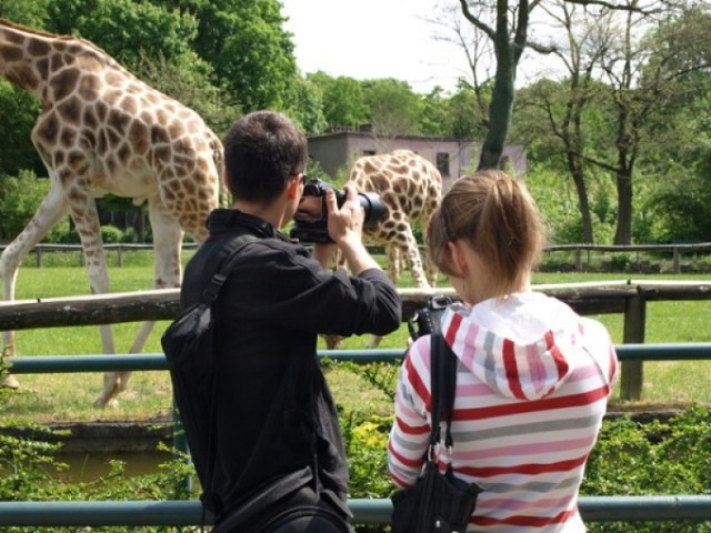 Kto zrobił najlepsze zdjęcia podczas Foto Deja w ZOO? Wasze ...