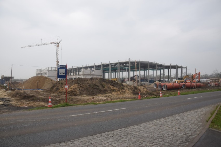 Trwają prace przy budowie hali przemysłowo-magazynowej w Brzegu. Efekty są coraz bardziej widoczne [WIDEO]