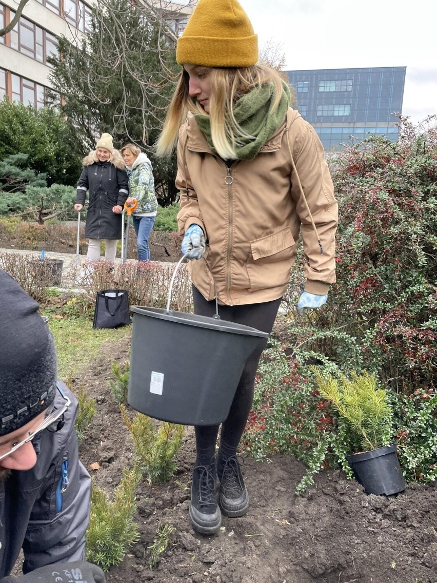 Projekt skweru wykonała Weronika Łysek – studentka...