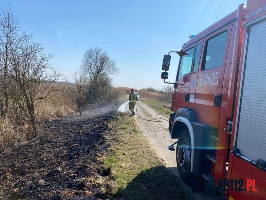 Dwukrotnie strażacy wyjeżdżali dziś do pożaru traw na terenie powiatu wolsztyńskiego
