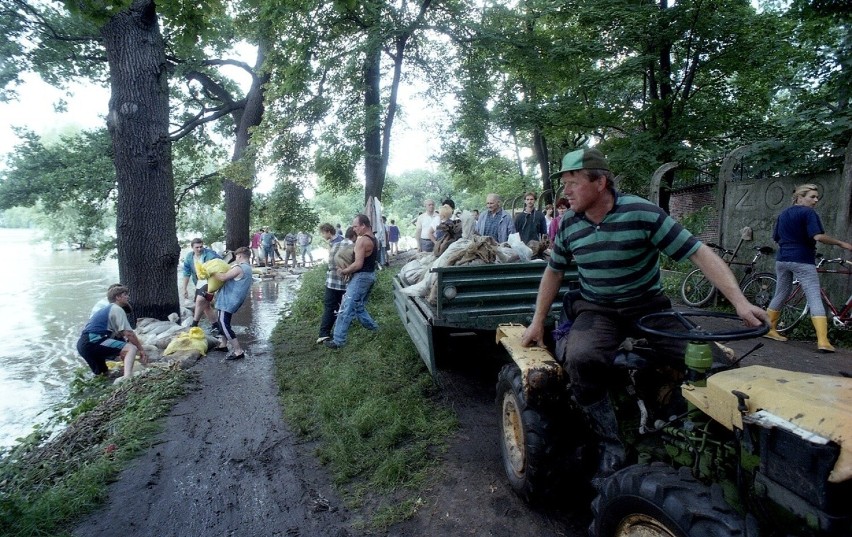 Ostatecznie fala nie wdarła się do ogrodu, choć rzecz jasna...