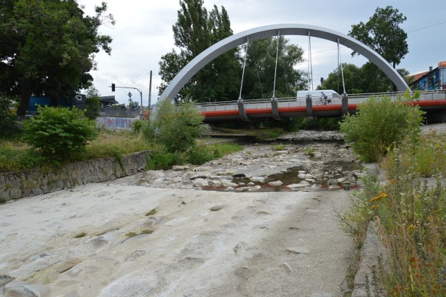 Wieprzówka w Andrychowie, lipiec 2019