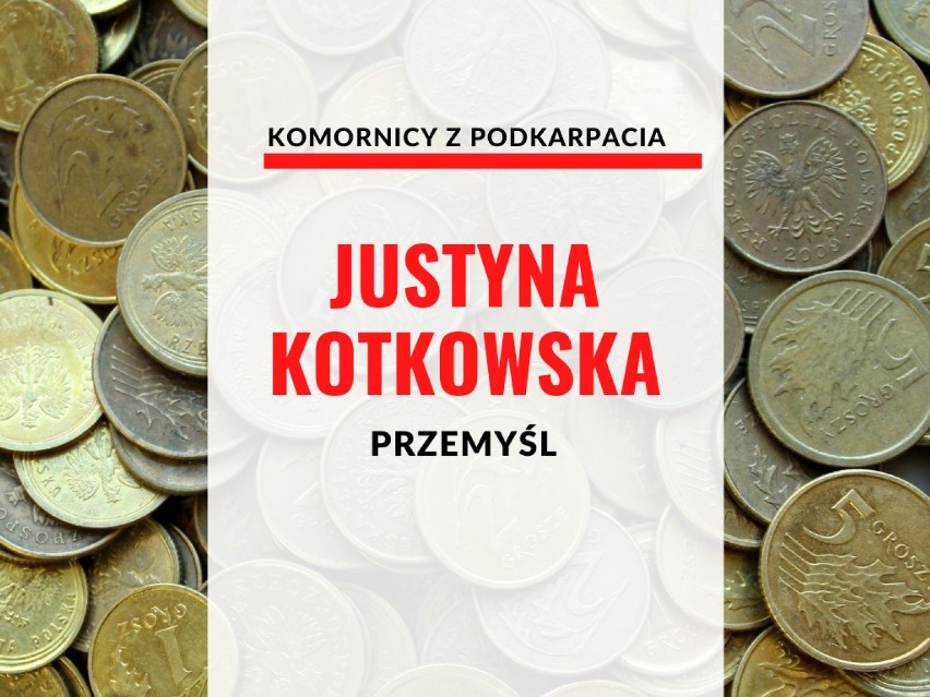 JUSTYNA KOTKOWSKA, PRZEMYŚL

oszczędności: 39 065,78 zł...