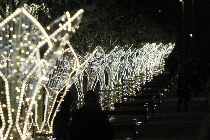 Nowa miejska choinka i świąteczne iluminacje w Lublinie. Zobacz zdjęcia i wideo 