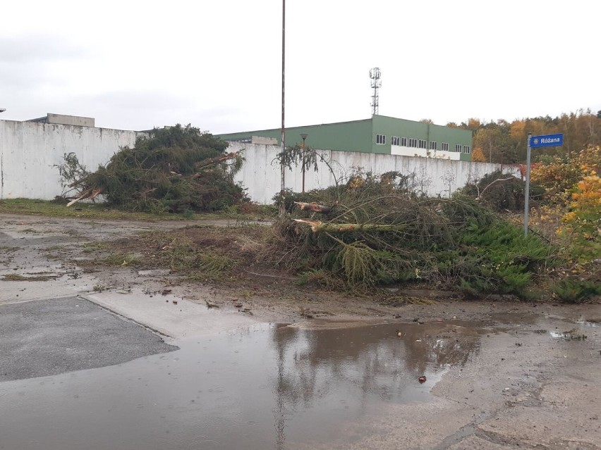 Demolka na Metalowej w Goleniowie. Rusza rozbudowa ulicy