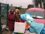 Międzychód - Do 10 grudnia trwa zbiórka na rzecz schroniska dla zwierząt w Przyborówku