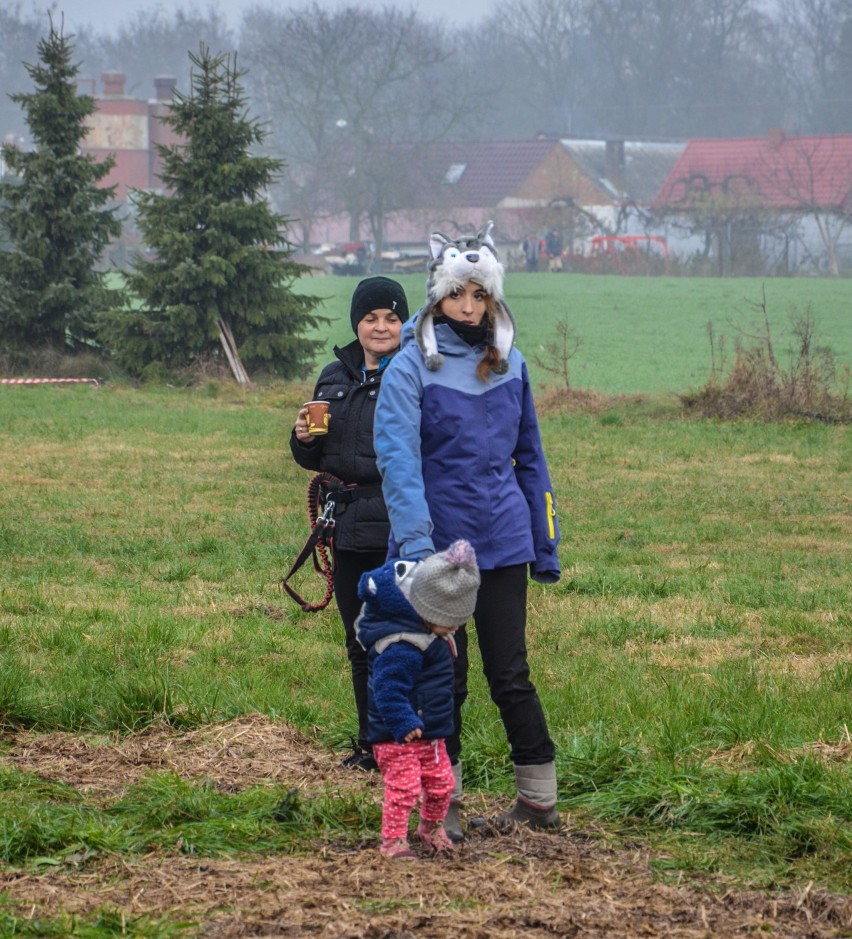 Gm. Szamotuły. Psie zaprzęgi wracają do Koźla! [ZDJĘCIA]