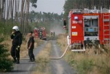 Susza na Pomorzu. Krzewy suche jak pieprz, trudniej podpalić papier niż liście