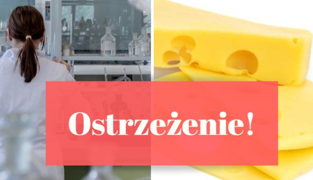 Wycofano z rynku jedną partię popularnego w Polsce sera żółtego Gouda, w plastrach - wyprodukowanego przez Spółdzielnię Mleczarską RYKI ze względu na wykrycie Listeria monocytogenes.

Którą partię wycofano? Czym grozi zjedzenie tego sera? Kliknij w następną stronę >>>