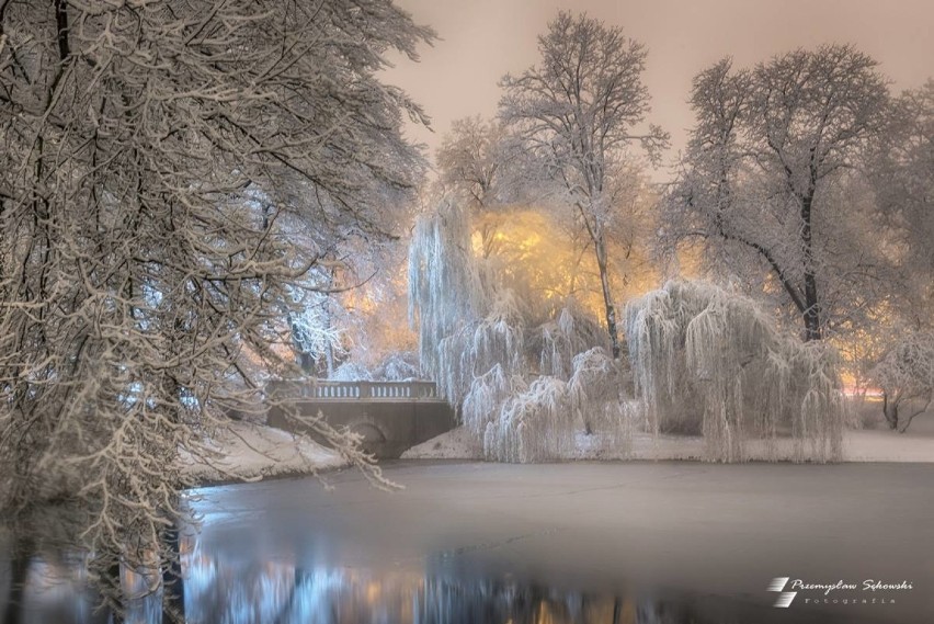 Bajkowa zima w Kielcach. Zobacz niezwykłe zdjęcia