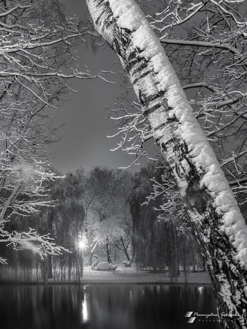 Bajkowa zima w Kielcach. Zobacz niezwykłe zdjęcia