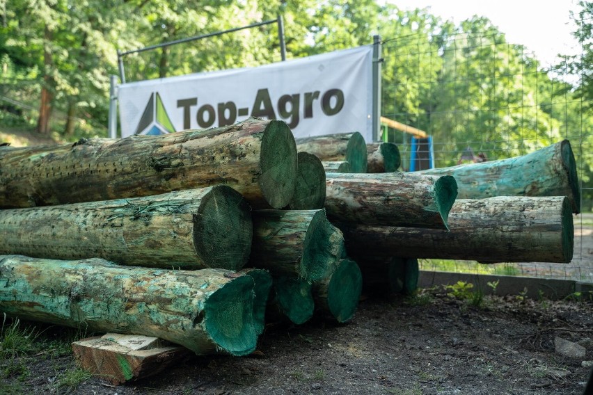 Czy w podziemiach Kamiennej Góry w Lubaniu są ukryte skarby?