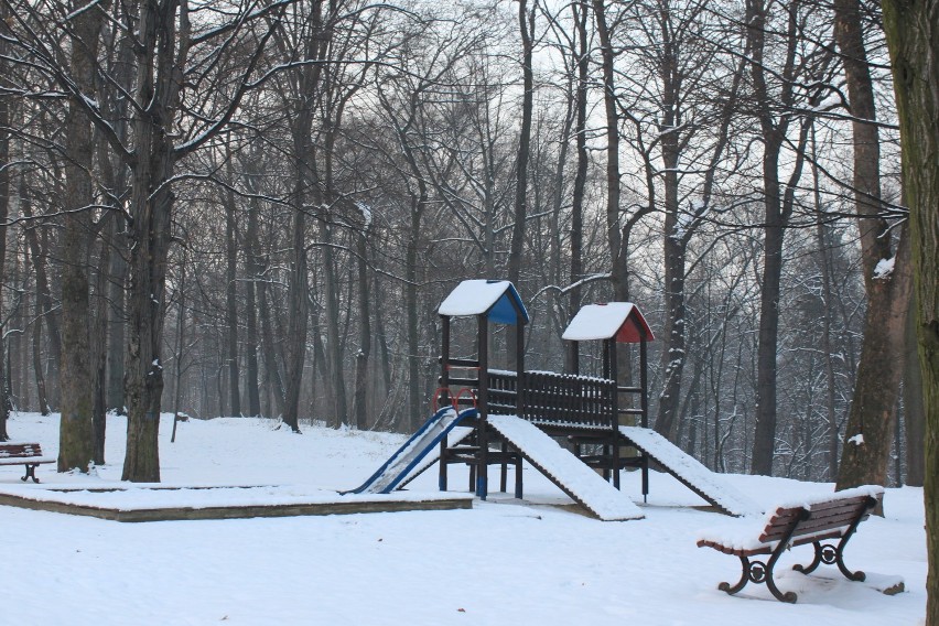 Zima w Parku Zdrojowym jest bajeczna FOTO