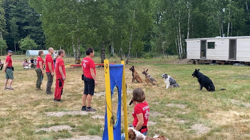 Rodzinny piknik policjantów i pracowników policji w Budach Głogowskich