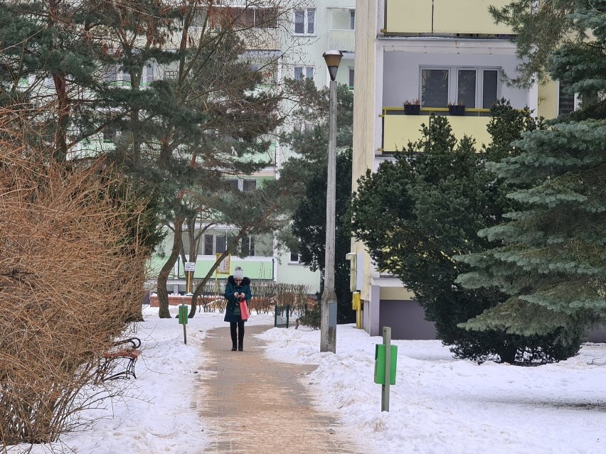 Do zabójstwa doszło przy ul. Tłoczka w Toruniu.