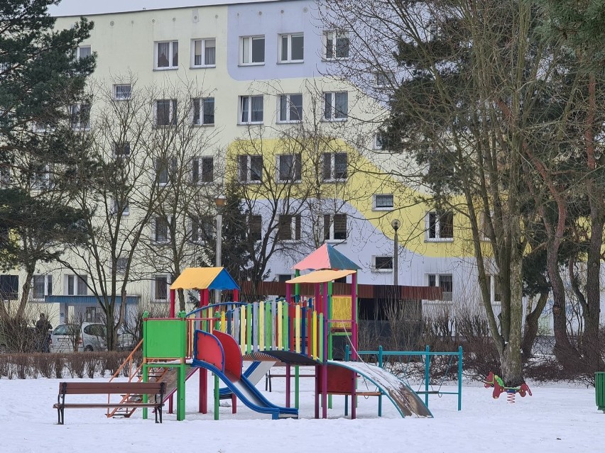 Do zabójstwa doszło przy ul. Tłoczka w Toruniu.