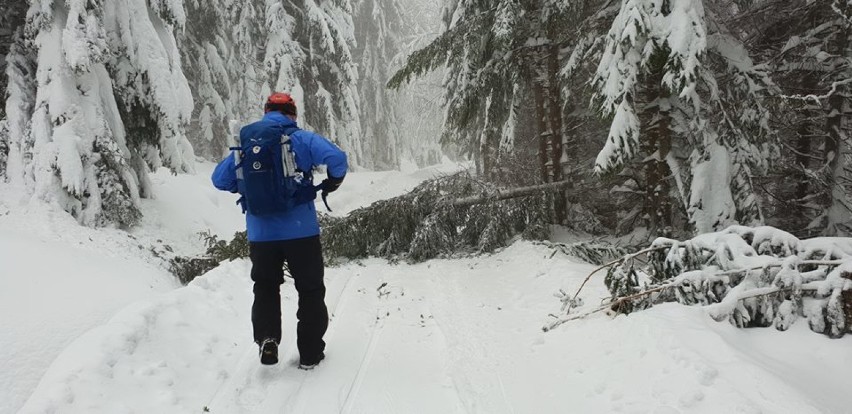 Goprowcy ewakuowali narciarzy w Górach Sowich