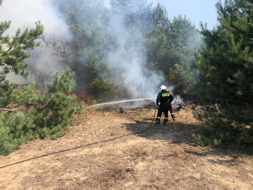 Zdjęcia z pożaru dostaliśmy dzięki uprzejmości OSP Kłodawa