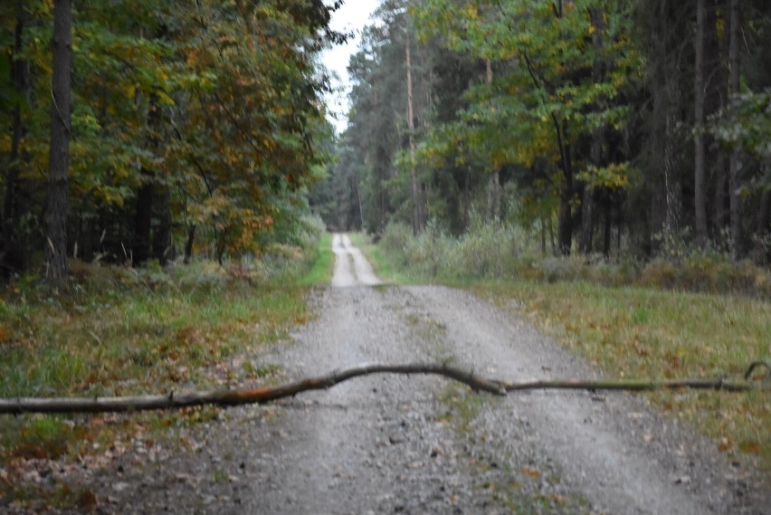 Pojezierze Palowickie