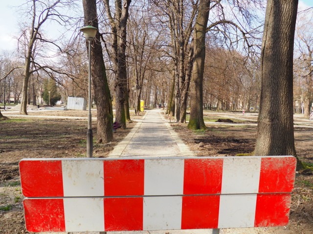 Łącznie w Ogrodzie Miejskim przy ul. Dąbrowskiego nasadzonych zostanie ponad 14 tysięcy drzew, krzewów i roślin.