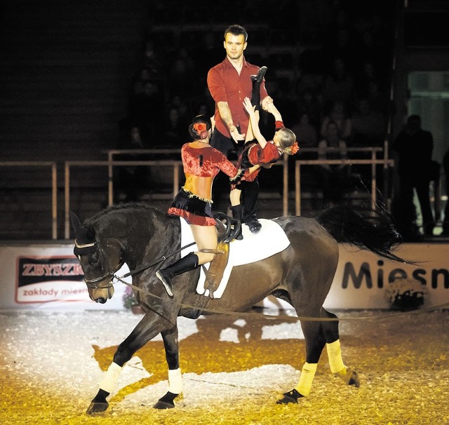 Parada Jeździecka w hali Atlas Arena. Przy pustych krzesłach