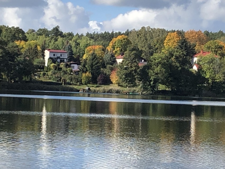 Jezioro Reczynek w Ośnie Lubuskim - miejska plaża