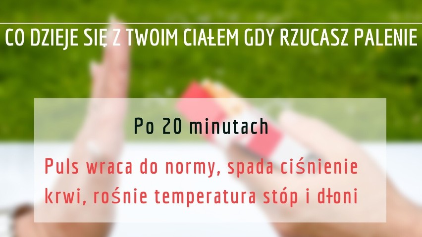 Rzucanie palenia. Co dzieje się z Twoim ciałem po trzech dniach od wypalenia ostatniego papierosa? Sprawdź!