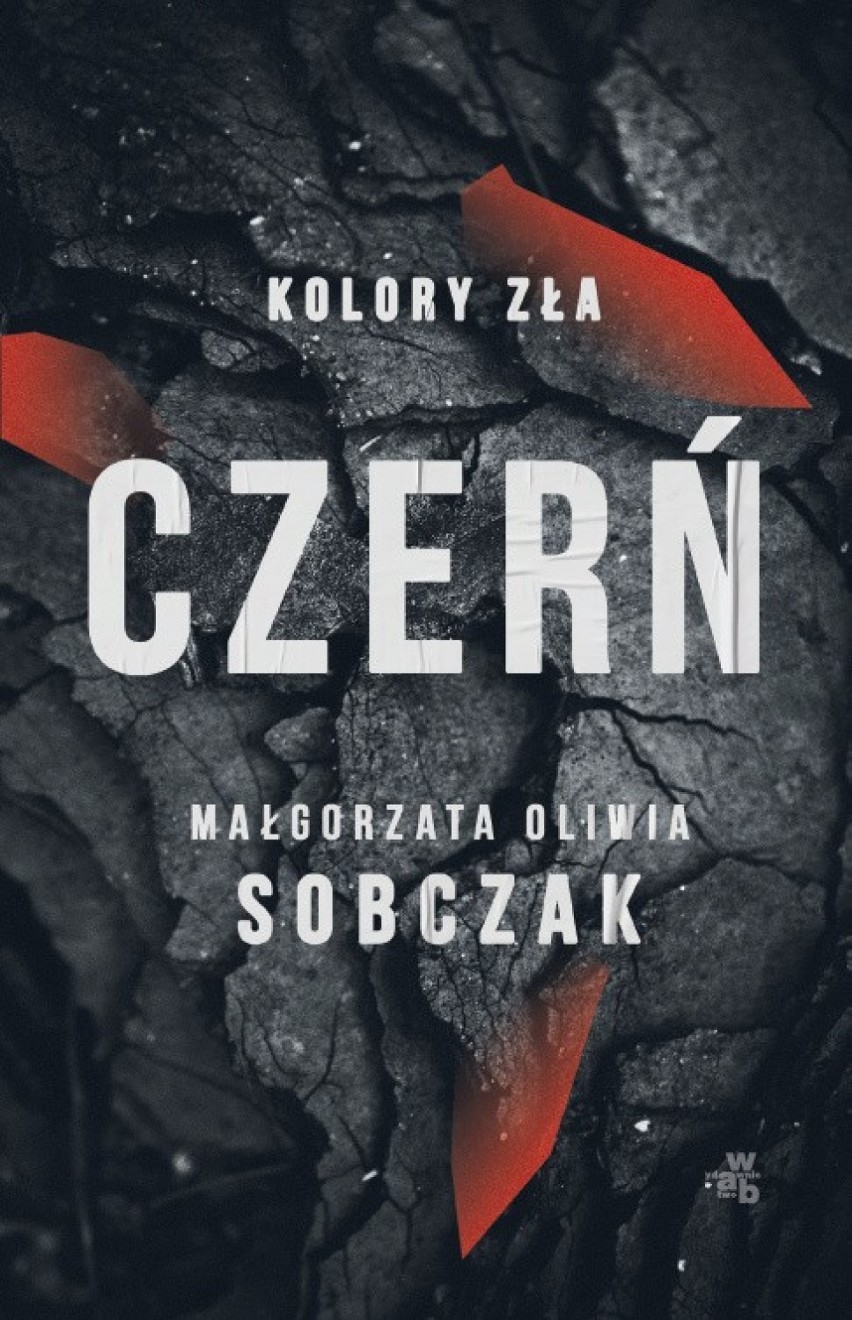 Gdańska: "Czerń" Małgorzaty Oliwii Sobczak wkrótce w sklepach. Autorka "Czerwieni" powraca z nowym kryminałem!