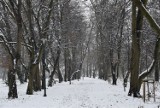 Grodzisk w śniegu wygląda bajecznie! Świąteczne iluminacje i biały puch zdobią miasto