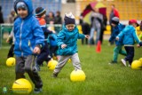Ponad 100 dzieci na treningu Akademii Piłkarskiej Stal Gorzów [ZDJĘCIA]
