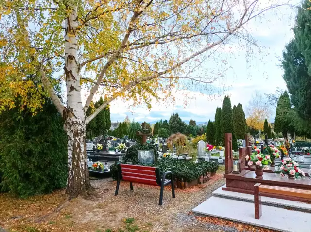 Cmentarz komunalny w Dzierżoniowie na przełomie października i listopada to miejsce przepełnione nostalgią i pamięcią o tych, którzy już odeszli