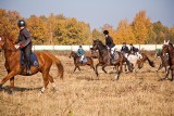 Zgorzelec: Hubertus przy pałacyku